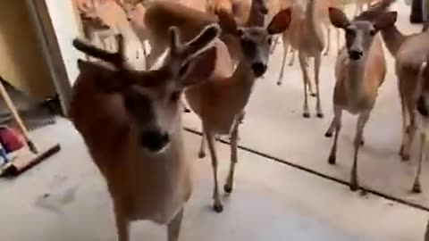 Welcome to the jungle
