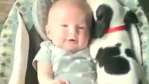 baby and dog