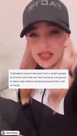 Lab grown CHICKEN MEAT from cultivated CELLS by the company "GOOD MEAT". Guess who owns the company?