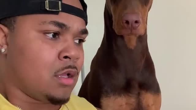 Stitch Video