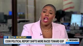 MSNBC's Symone D. Sanders: "My money is on the Disney lobbyists, honey."