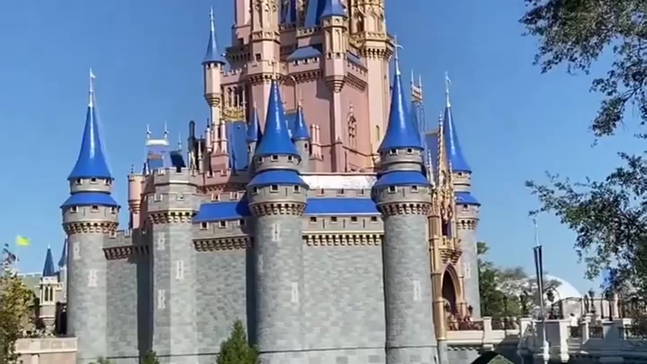 Disney World’s Cinderella Castle "burning to the ground"