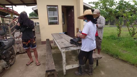 THESE LITTLE PIGS DIDN'T REACH THEIR FULL PIGTENCIAL