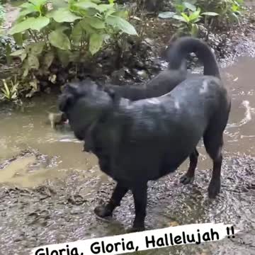 Este está melhor… gets better and better