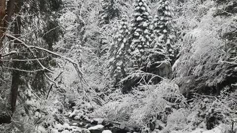 Everything looks more magical when it’s covered in snow