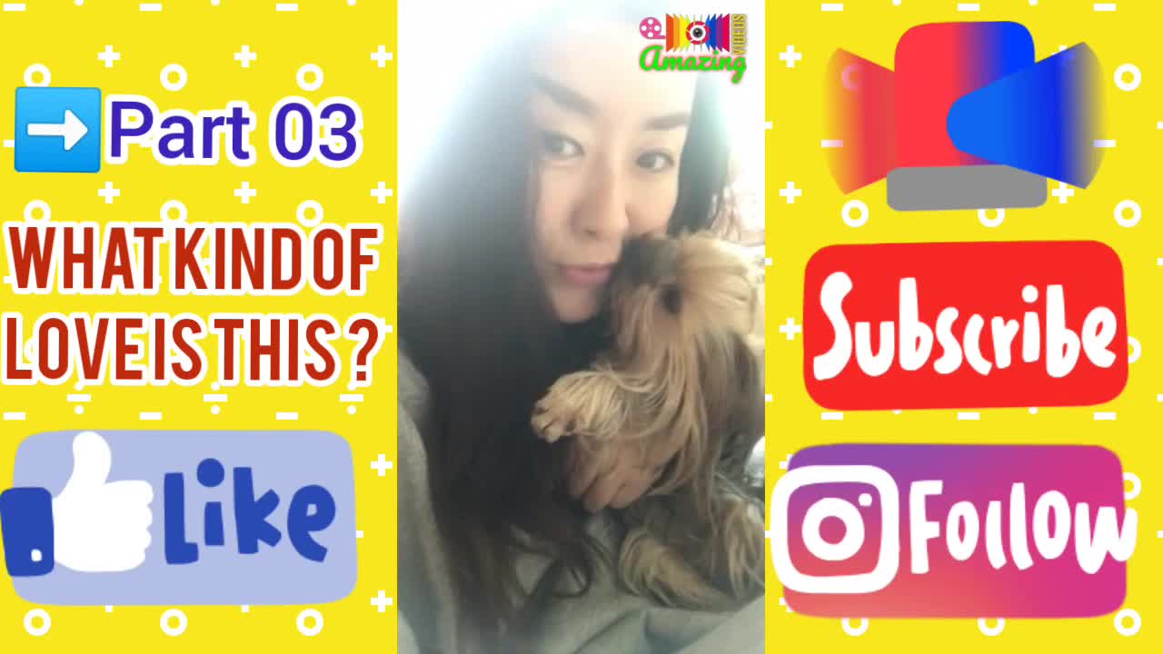 WoW Amazing🤩Dog🐕‍🦺Lover🐕Part 03💋Kissing Dog🐶Video🦮Animal😍Dog Lover🐕Amazing🧐Shorts😳Reels📢Videos😁📸