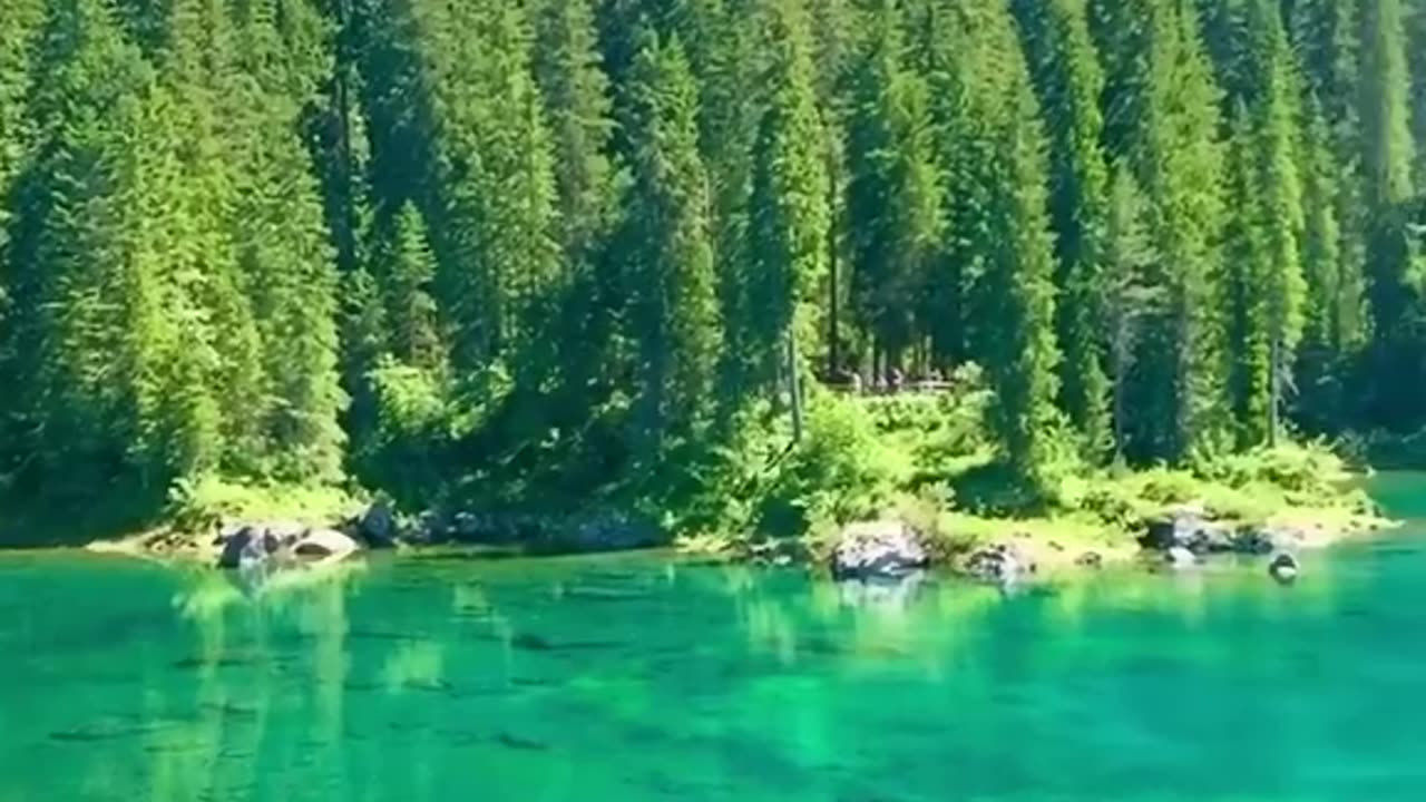 Lake view in Switzerland