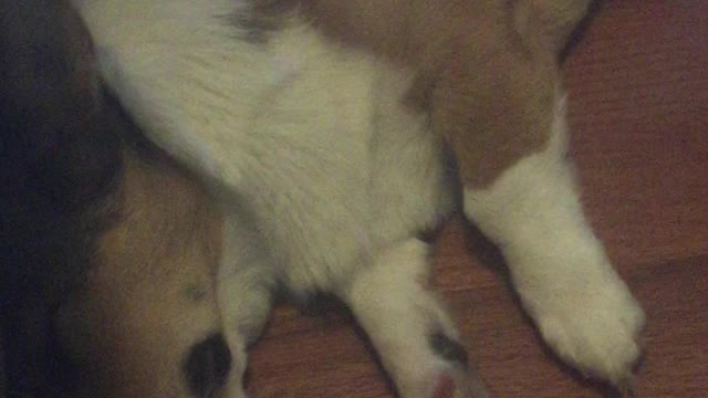 Old man Njord dreaming