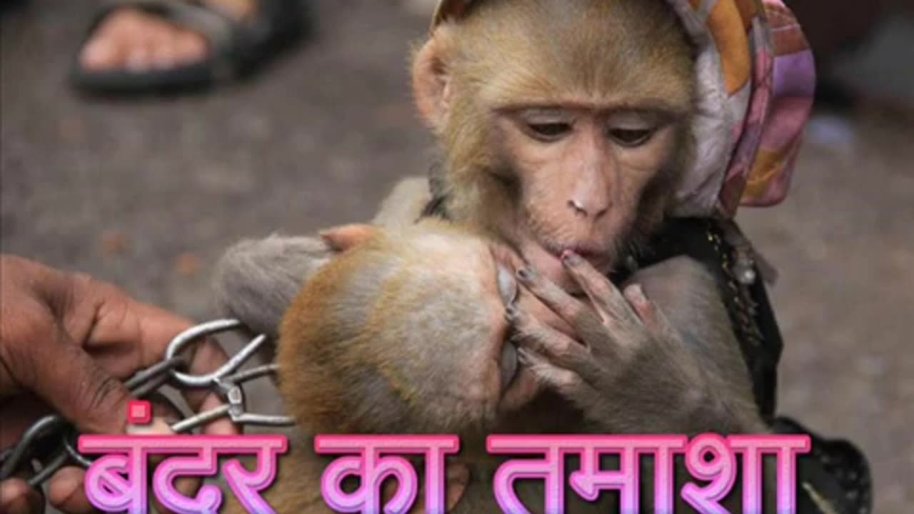 बंदर का तमाशा (A Hindi Story)