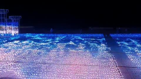 Dolphins appear in the middle of the LED sea ice flower in Haeundae, Asia~~~