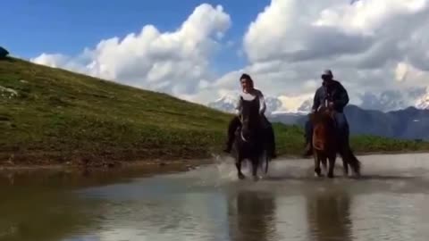 Beautiful Nature - Horses