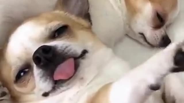 Is this every morning you wake up! LOL