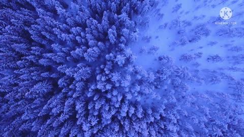 Snow falls