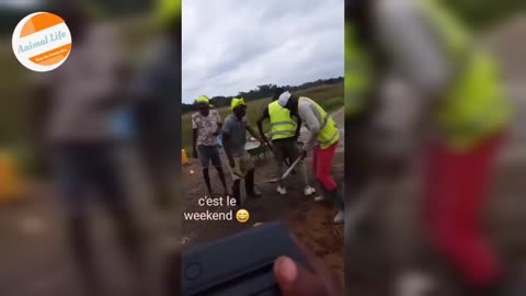 It's Pay Day || Weekend Dance For Builders 🍷👍