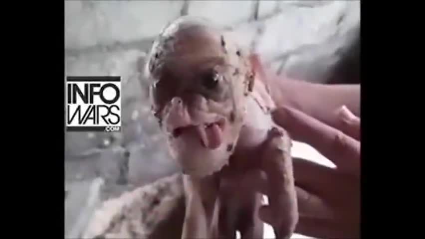 To πρωτο ανθρωποειδες υβριδιο