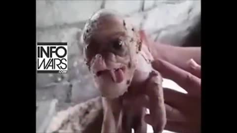 To πρωτο ανθρωποειδες υβριδιο