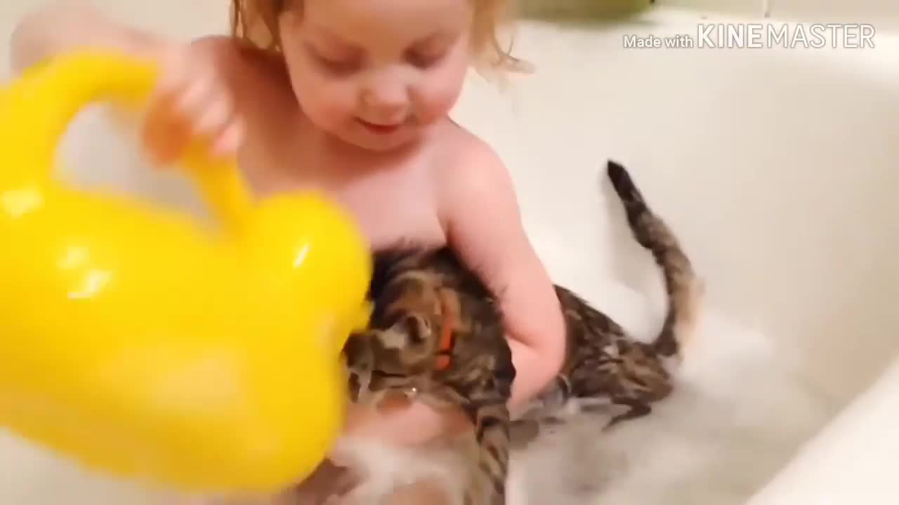 funniest pretty babies playing with animals