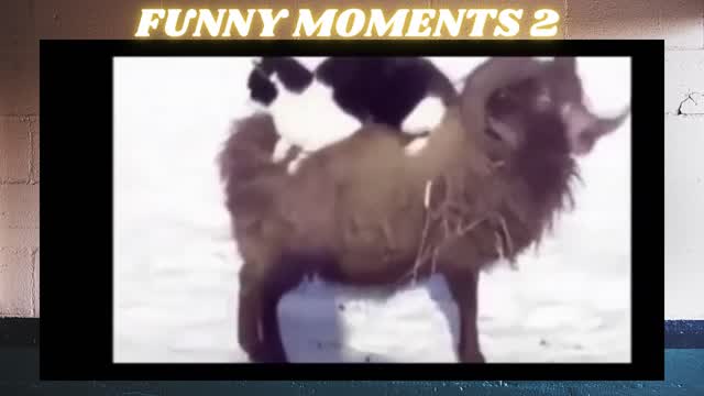 FUNNY MOMENTS - [PART ] 2