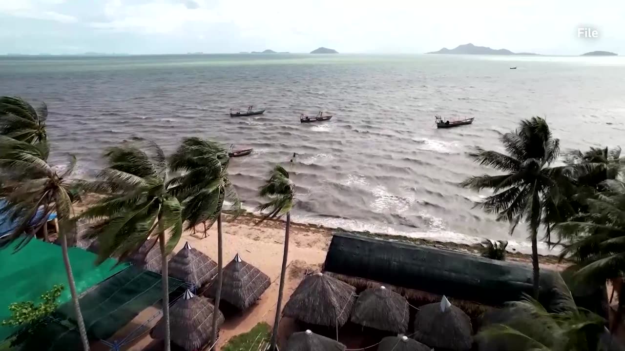 Extreme plankton bloom creates 'dead zone' off Thailand