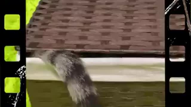 Funny moments