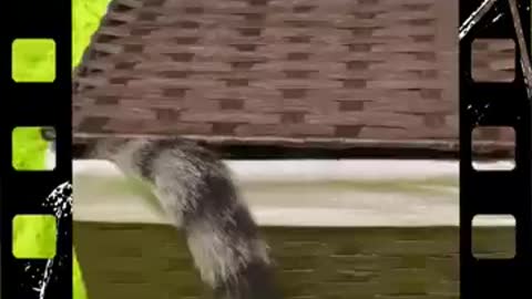 Funny moments