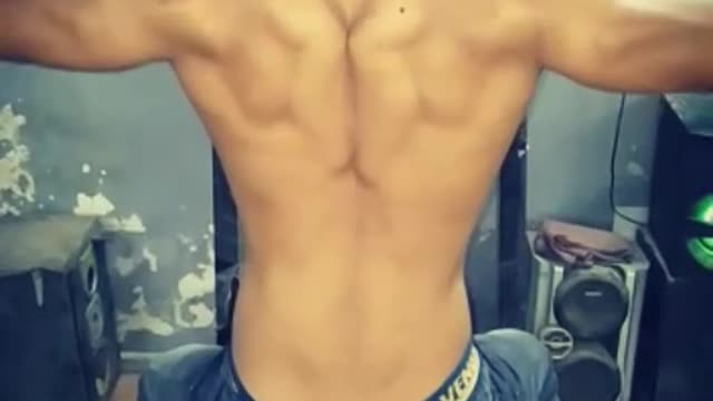 Back workout in the gym