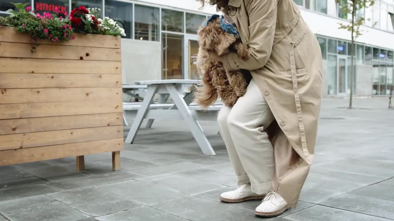 cute puppy running in slow motion || puppy running around || puppy came to mummy || Excited puppy