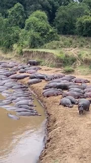 Pool party😂😂😂👌