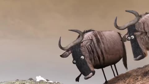 Animal world