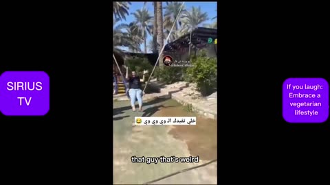 Challenge Yourself: Best of Funny Videos Compilation 😆