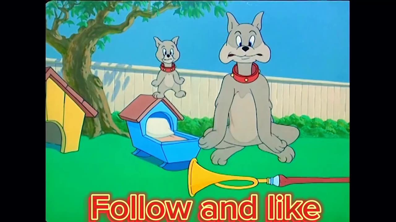 Cartoon: Tom and jerry cartoon , kids cartoon (part 3 )