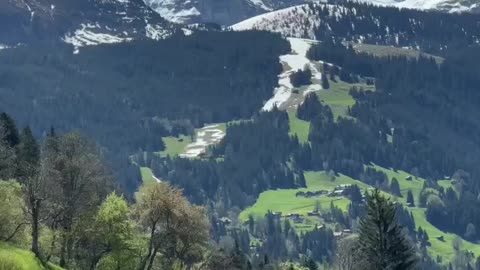 No sound needed🔊🔊| Amazing nature view with the sound of nature 🇨🇭🏔