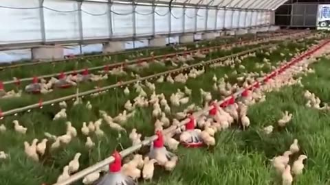 American Farmers Not Named Bill Gates Are Coming Up With Real Environmentally Friendly Solutions To