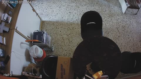 hallmid midnight 20220423