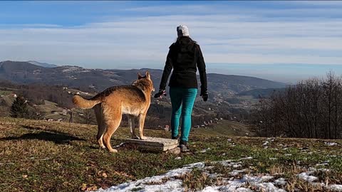 Amazing dog Awww🥺