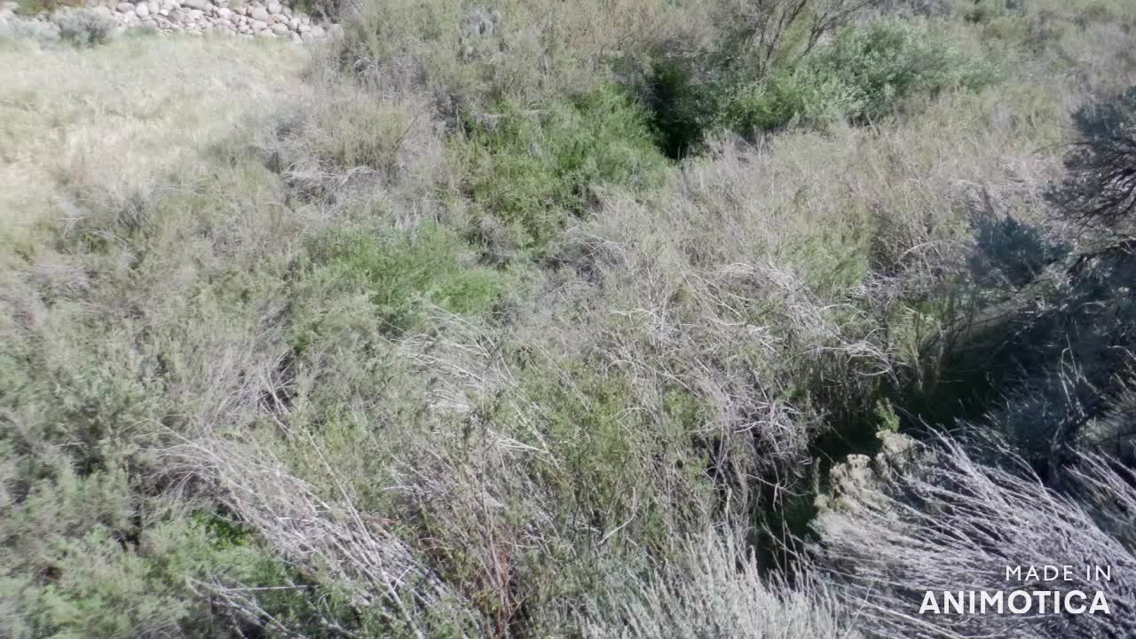 Mountain Meadows Massacre Ravine Changes Cloud Bursts Storms