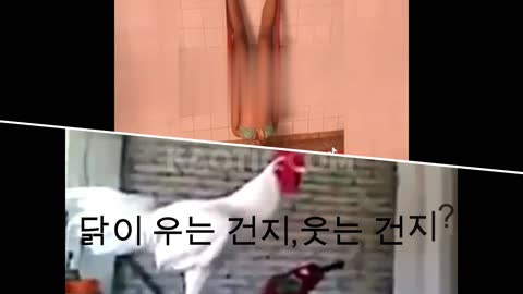 웃으면 복이와요