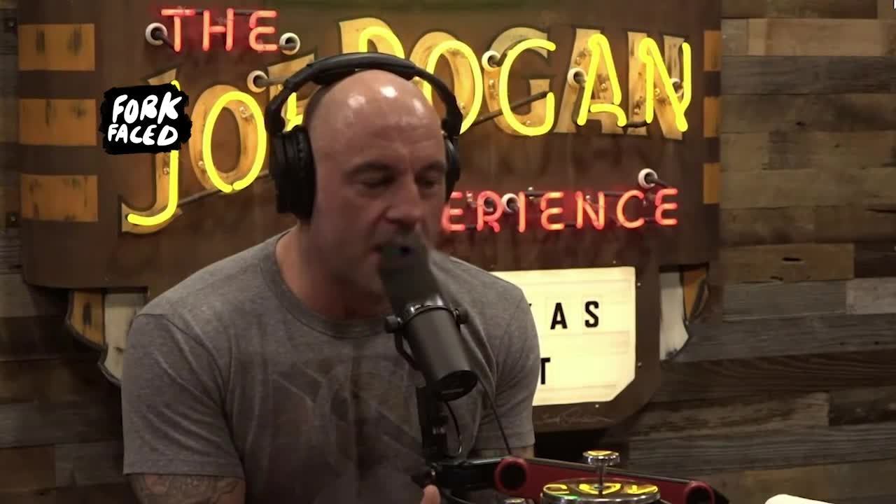 Joe Rogan & Mark Zuckerberg - The Hueman Experience