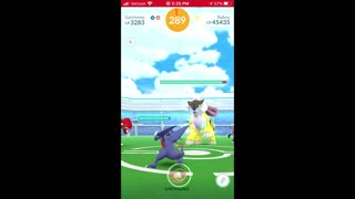 Pokemon Go - Raikou Raiding