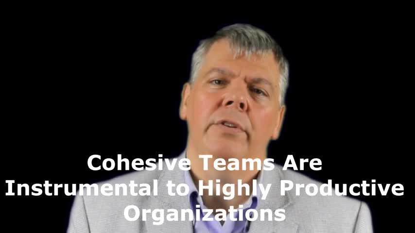 Building Cohesive and Productive Teams