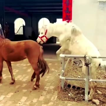 When Your Love Is Satisfied, But...