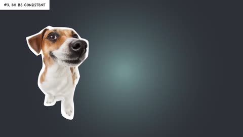 10 Easy Ways to Train a Naughty Dog IT WORKS
