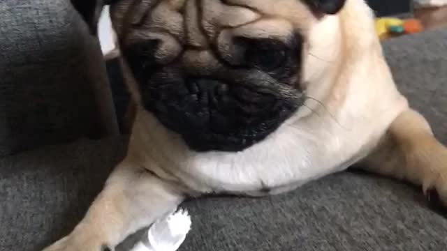 Watch out for the toothbrush monster!
