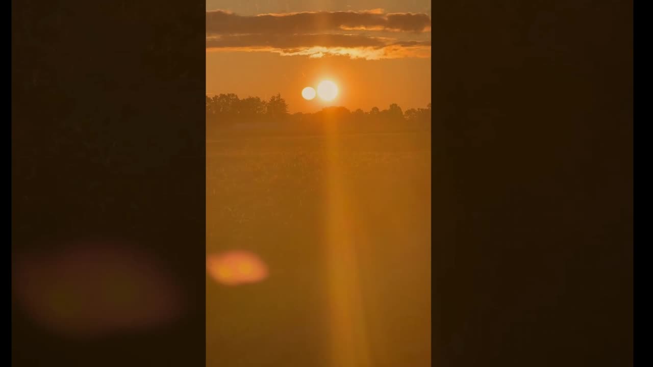 Simsunny