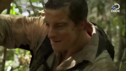 Bear Grylls in jungle#most dengar animals #