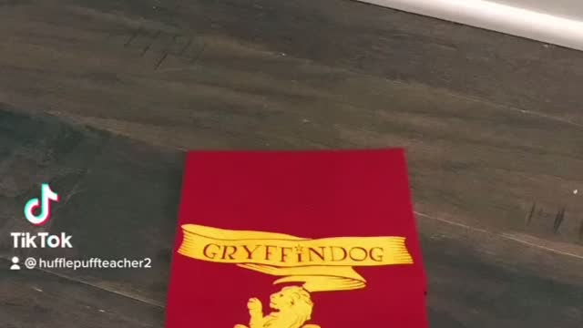 Hogwarts Dog Sorting