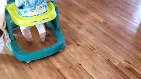 Dog v Baby- Boss Battle!!