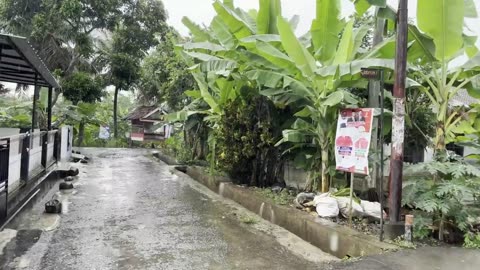 Romantic Rain and Thunder Today | walk into village life on a rainy day | rain sounds for sleeping