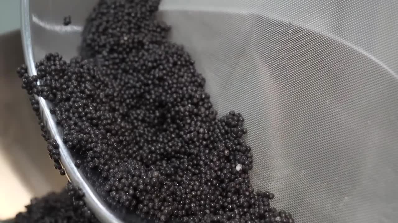 The process of making caviar, one of the three best delicacies in the world