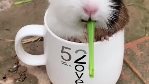 It's so delicious